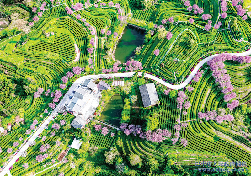 巴中平昌旅游景点大全图片